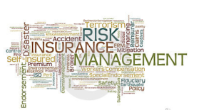 Risk Management and Insurance word cloud