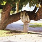 Is the Federal Government Doing Enough to Support the Independent Medical Practice During the COVID-19 Crisis?