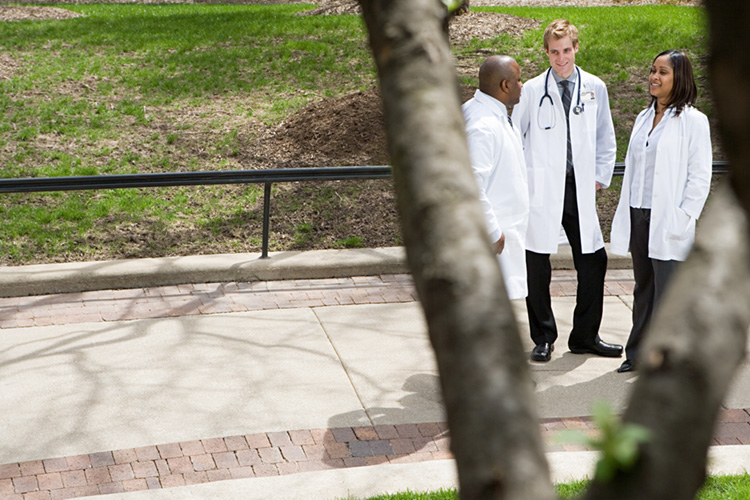 Physicians Talking Outside by a Tree